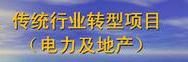传统行业转型项目（电力及地产）
